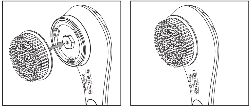 Using Your Pure Perfection Body Brush