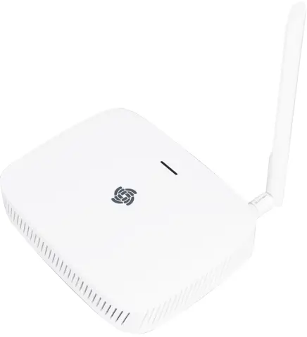 WisGate Series RAK7268 Gateway-fig1