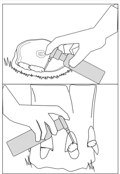 Green Shoots B07GBH4JBZ Small Foam Herbicide Dispenser