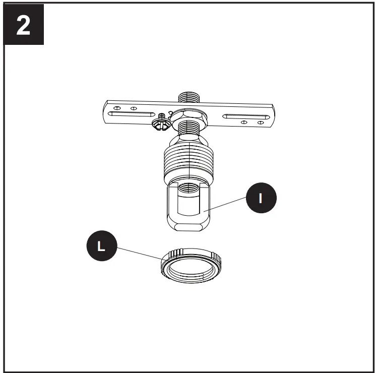 (L) from the chain loop (I)