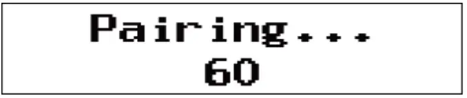 pairing