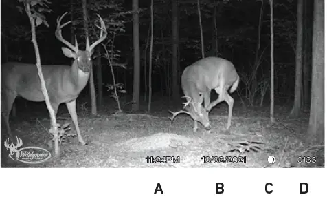 Wildgame-INNOVATIONS-Terra-Extreme-12MP-IR-Trail-Camera-fig-14