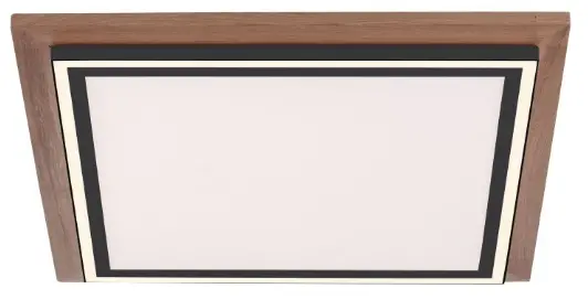 Paul-Neuhaus-835893-Palma-Ceiling-Light-PRODUCT