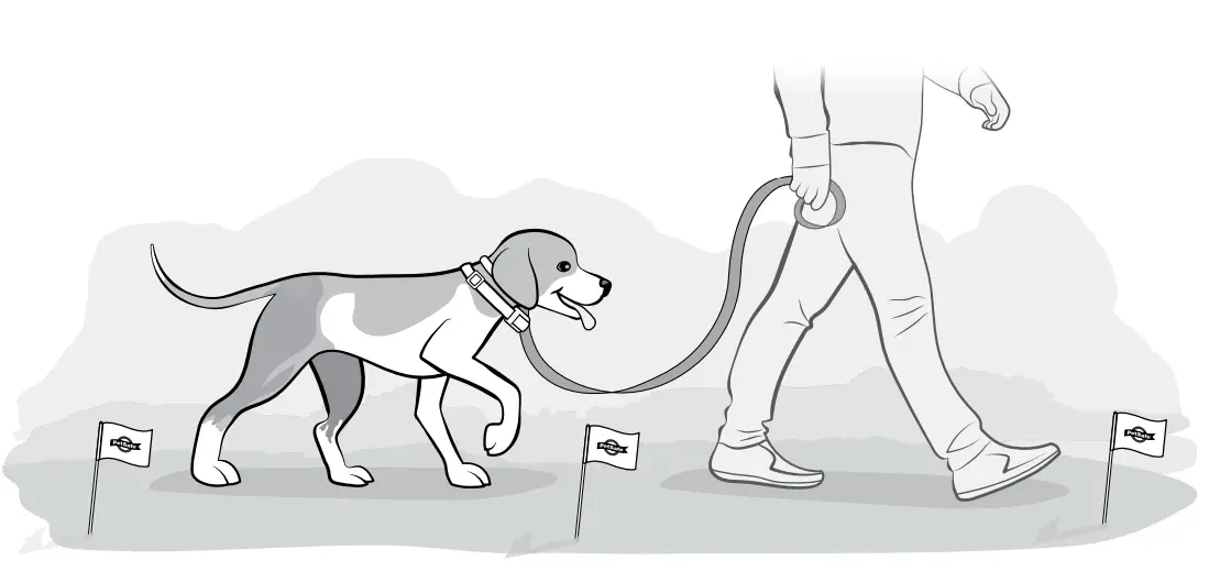 PetSafe-PIF00-15002-Stay-and-Play-Wireless-Fence-with-Replaceable-Battery-Collar-2