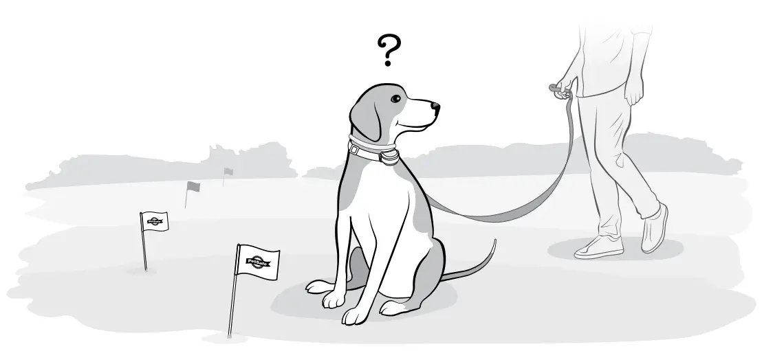 PetSafe-PIF00-15002-Stay-and-Play-Wireless-Fence-with-Replaceable-Battery-Collar-3