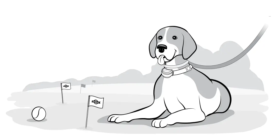 PetSafe-PIF00-15002-Stay-and-Play-Wireless-Fence-with-Replaceable-Battery-Collar-4