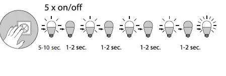 Paul-Neuhaus-4071-Table-Lamp-5