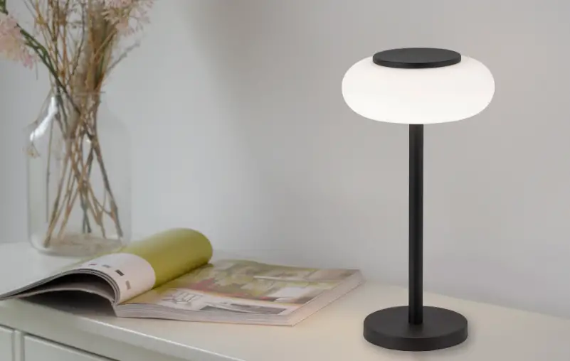 Paul Neuhaus 4071 Table Lamp Instruction Manual