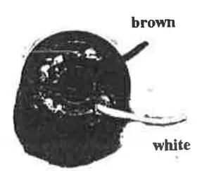 iCOM-HM-28-8-Pin-Hand-Microphone-FIG-6