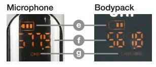 ROCKVILLE RWM-4Z Professional Wireless Quad Microphone System - LCD Displays 2