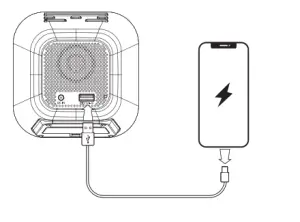 PHILIPS R4406 4000 Series Clock Radio - harging device via USB