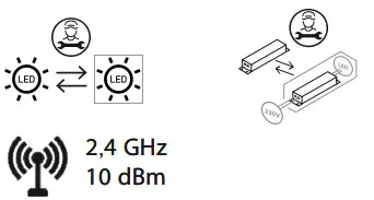Paul Neuhaus 2076 55 LED Pendant Light