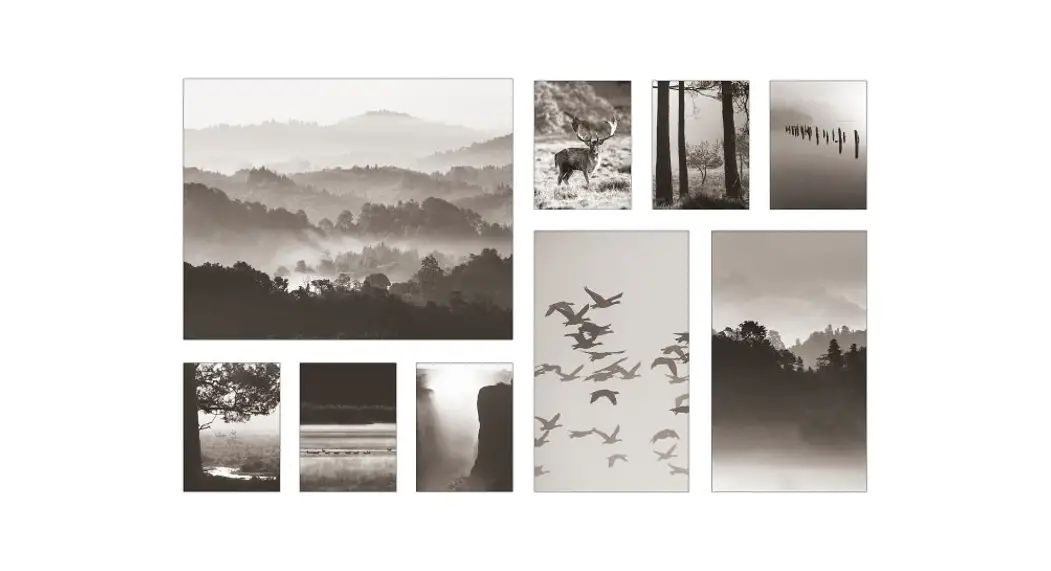 Ikea Pjatteryd Painting In The Nature Set Of 9 179x112cm Instruction Manual