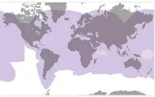 KVH H30 Tracnet Ultra Compact Hybrid Connectivity Solution-8