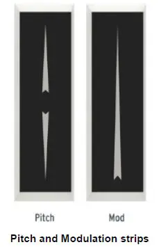 worlde Ultra-Portable-Mini-25-Key-MIDI-Keyboard-2