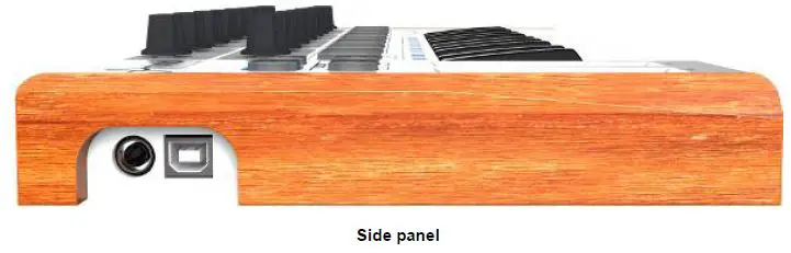 worlde Ultra-Portable-Mini-25-Key-MIDI-Keyboard-7