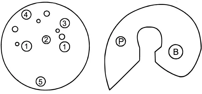 WilTec-61856-360°-Metal-Sheet-Bending-Machine-fig-2