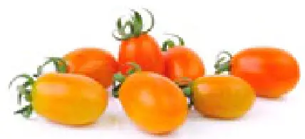 DASH DMWEG001 Easter Egg Mini Waffle Maker - Icon 9