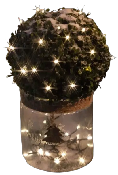 Westfalia 87 77 71 Light Chain with Timer