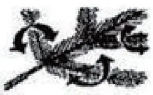 Assemble Instructions