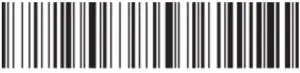 BAR CODE ICON