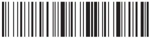 BAR CODE ICON