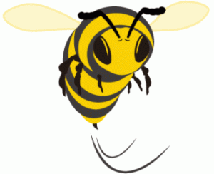 SpeedyBee Adapter 3 Built In Bluetooth and Blackbox Downloader - Simplifying FPV