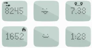 Tracking with Fitbit Zip