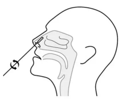ACON SARS CoV 2 Rapid Antigen Test Leaflet - fig 2