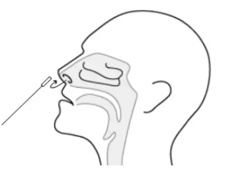 ACON SARS CoV 2 Rapid Antigen Test Leaflet - fig 3