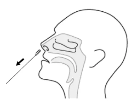ACON SARS CoV 2 Rapid Antigen Test Leaflet - fig 4