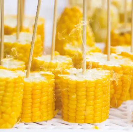 GLEN-SA-3035-Multi-Steam-Cook-10