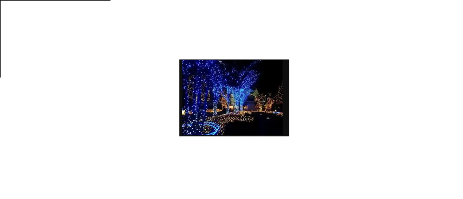 Solight 1v249 Christmas Lights Instruction Manual