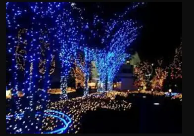 SOLIGHT 1V249 Christmas Lights product