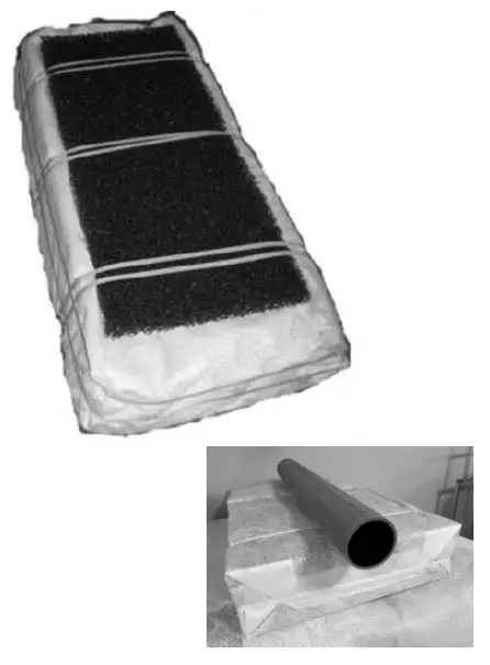 Raita-BioModule-System-fig-1