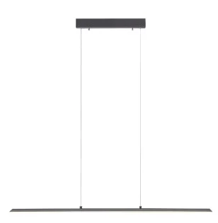 Paul-Neuhaus-8377-LED-Pendant-Light-product-image