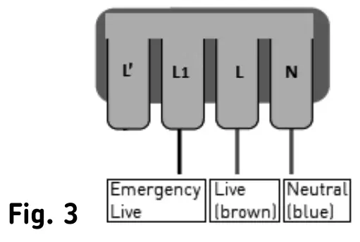 Knightsbridge BT14ACTEMS Adjustable Emergency LED Bulkhead - Fig