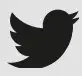 Twiter icon