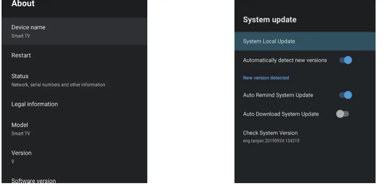 MAJESTIC SLT241 Smart TV With Bluetooth 31
