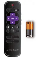 remote control