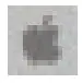 Apple Icon