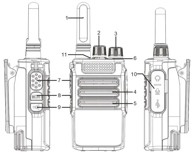 Quanzhou Yangfan Electronic Technology RYTERAYFA6 fig1