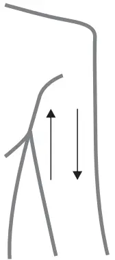 AAOCARE HKS909 Slim Tech Radio Frequency Vacuum Massage Roller - Arm