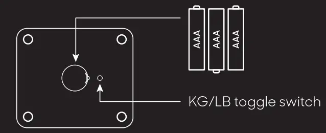SHARPER IMAGE Spastudio Digital Scale - fig1