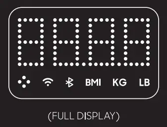 SHARPER IMAGE Spastudio Digital Scale - fig2