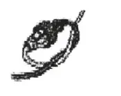 FIELDMANN FZK 2002 E Cordless Electric Tiller fig (2)