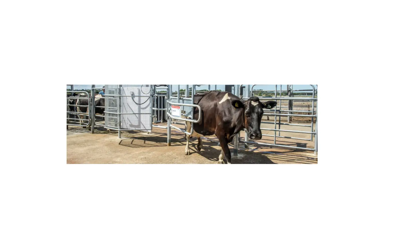 Allflex Protrack Vector 1g Migration Plan User Guide Allflex Protrack Vector 1g Migration Plan User Guide