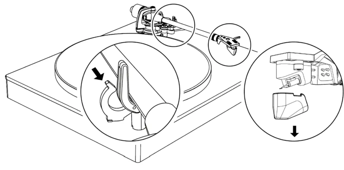 trinasty Alva TT V2 Direct Drive Turntable fig 7