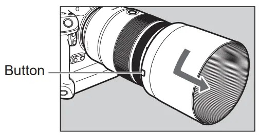 Canon RF 24-105mm F-4L IS USM Lens - fig 10