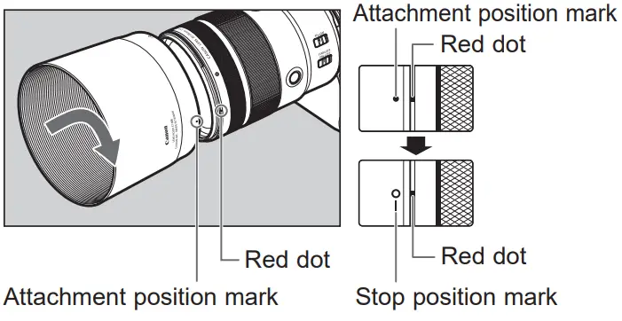 Canon RF 24-105mm F-4L IS USM Lens - fig 9